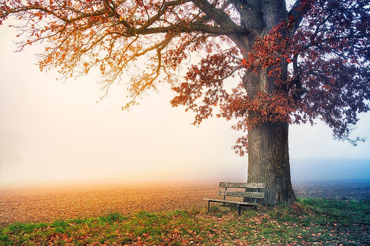 Park benches. Good or bad?