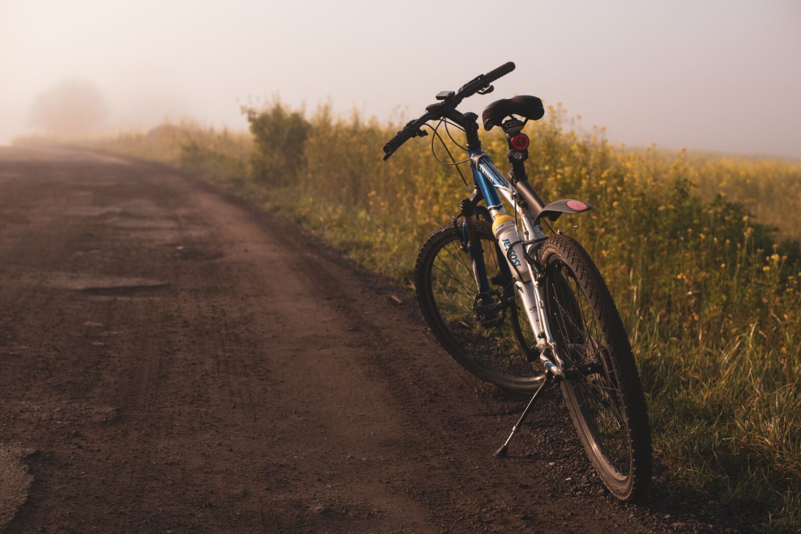 Bicycles. Good or bad?