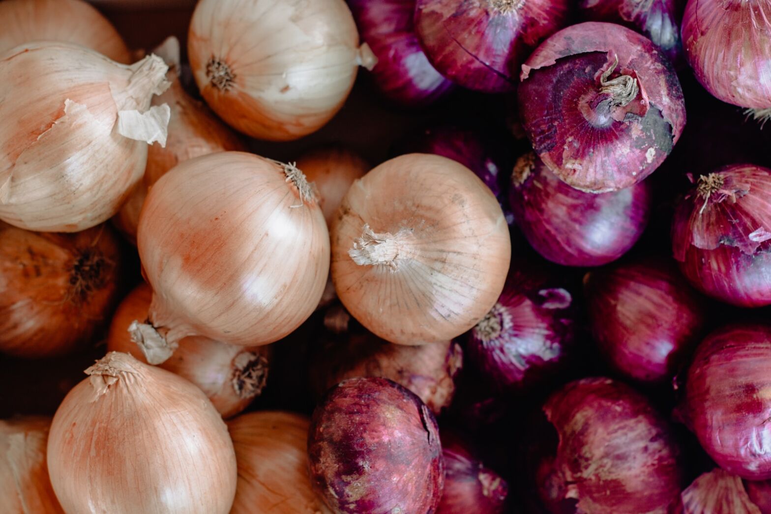 Onions. Good or bad?