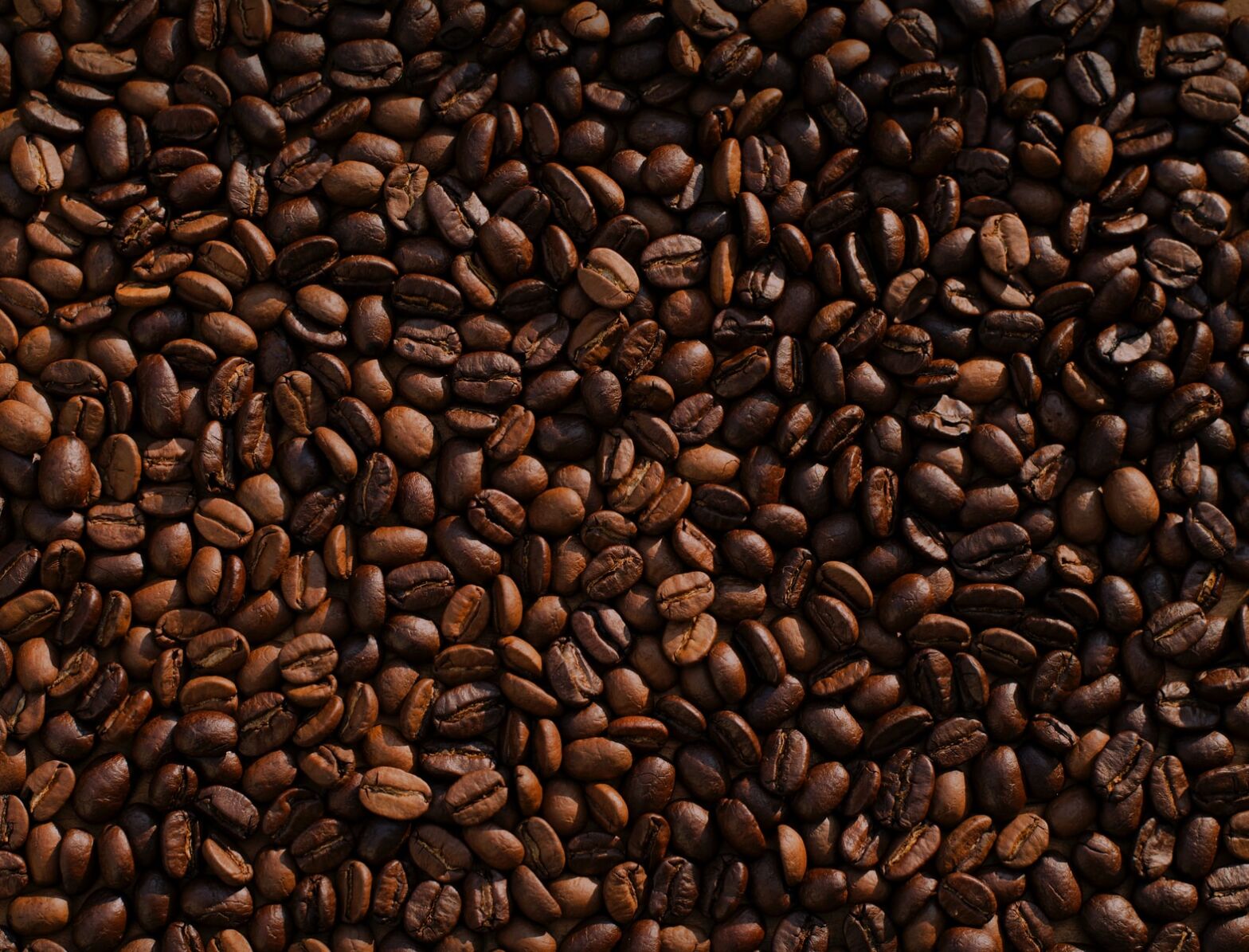 Coffee. Good or bad?